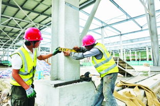 白云農創共享農副產品批發中心預計年底投用，建筑施工進展順利